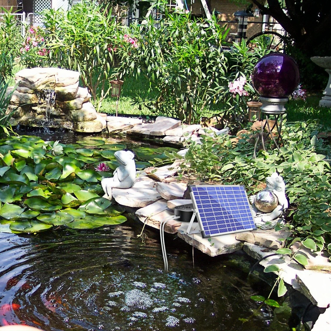 Complete Guide to Building a Breathtaking Courtyard Waterscape: Transform from a 'Daydreamer' to a 'Pond Pro' in Just 5 Minutes!