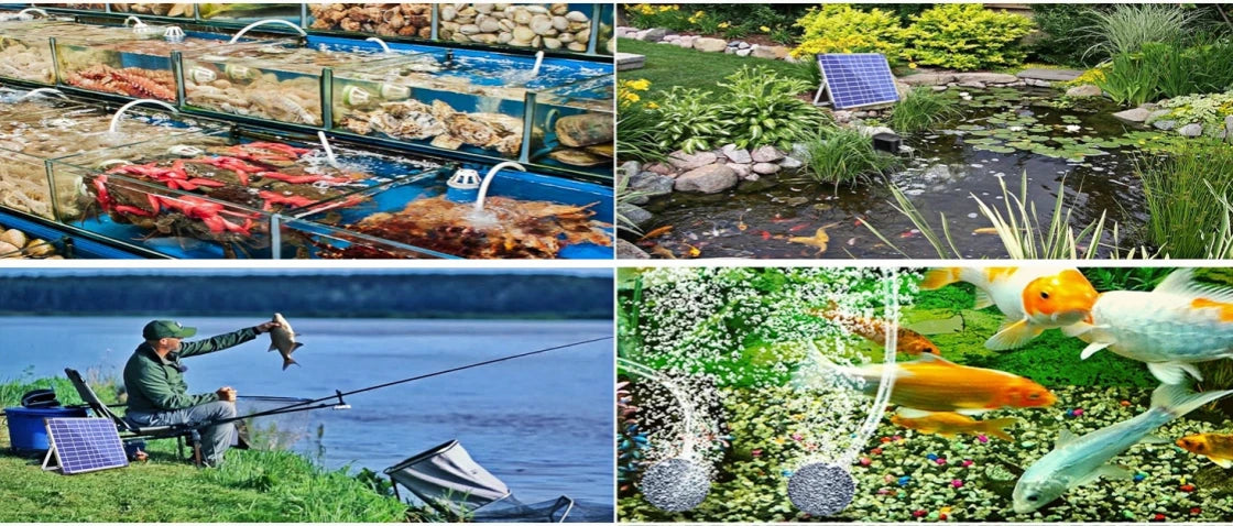 Aquarium, Garden Pond, Outdoor Fishing