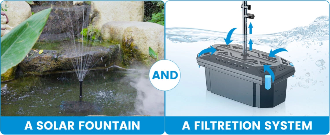 Filtration and fountain combo