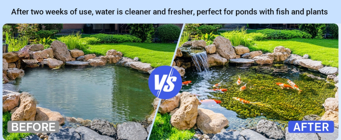 Before and after pond comparison