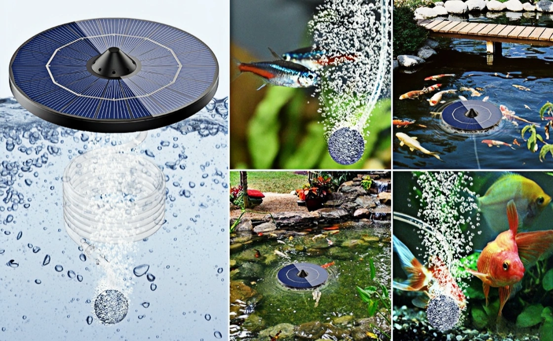 Dual outlet air pump