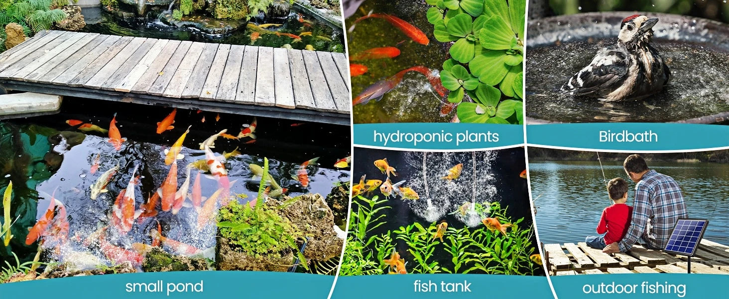 Multiple Applications